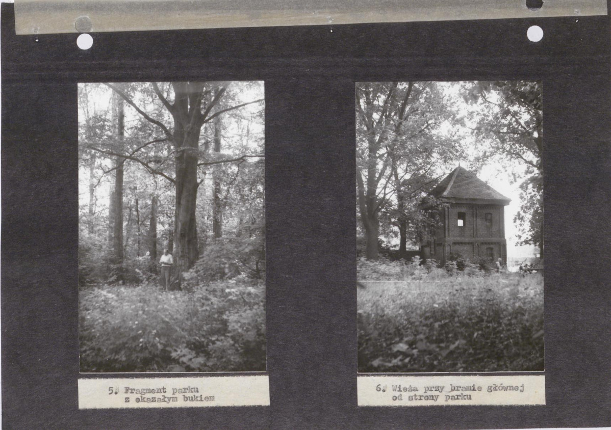 Ewidencja parkowa, skan nr 24
