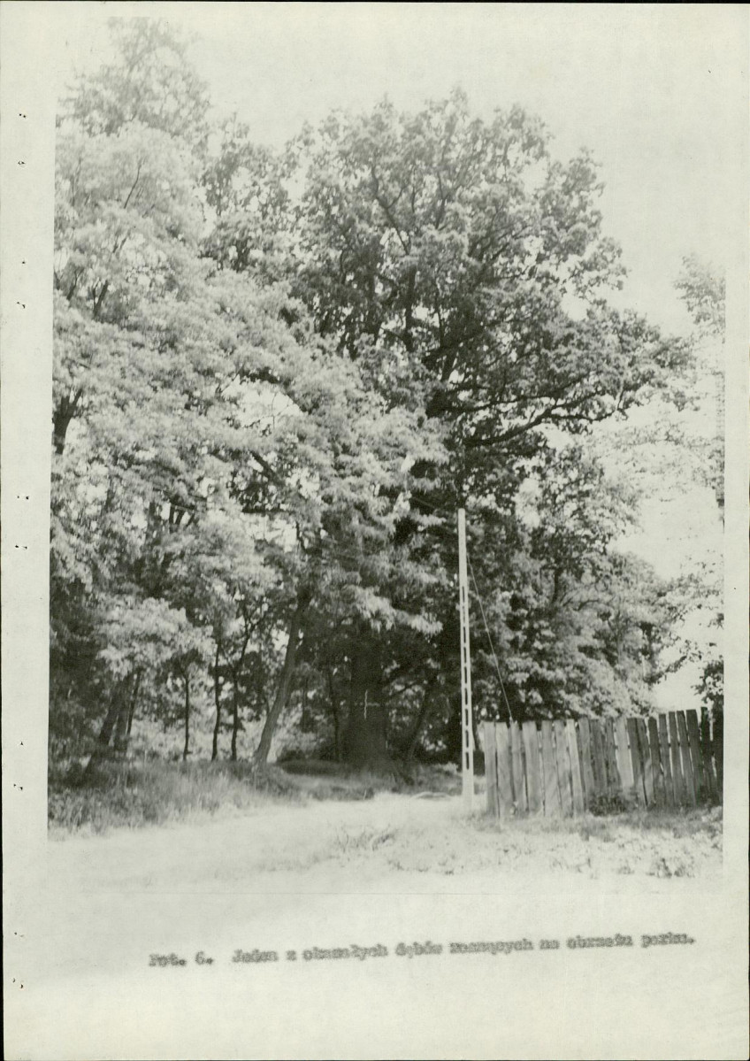 Ewidencja parkowa, skan nr 23