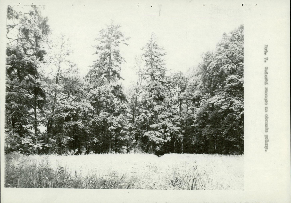 Ewidencja parkowa, skan nr 24
