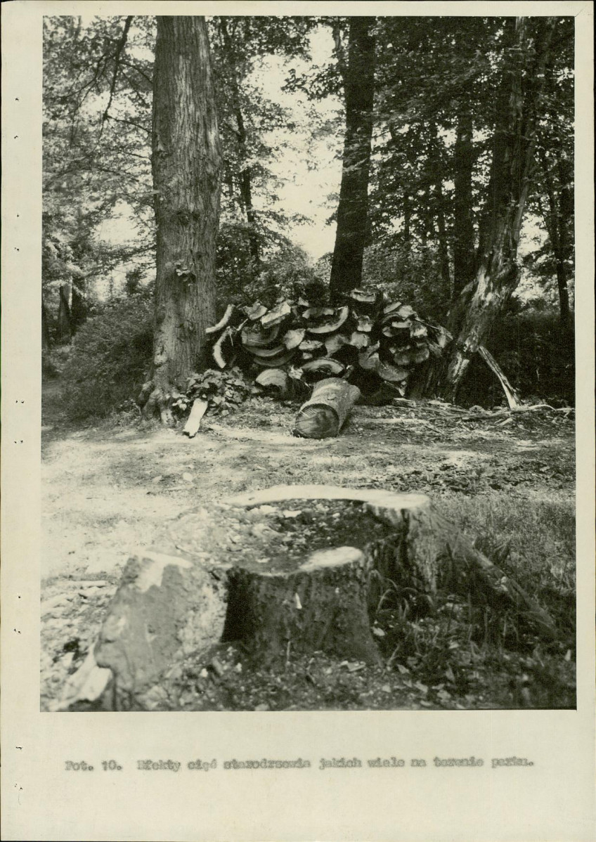 Ewidencja parkowa, skan nr 27