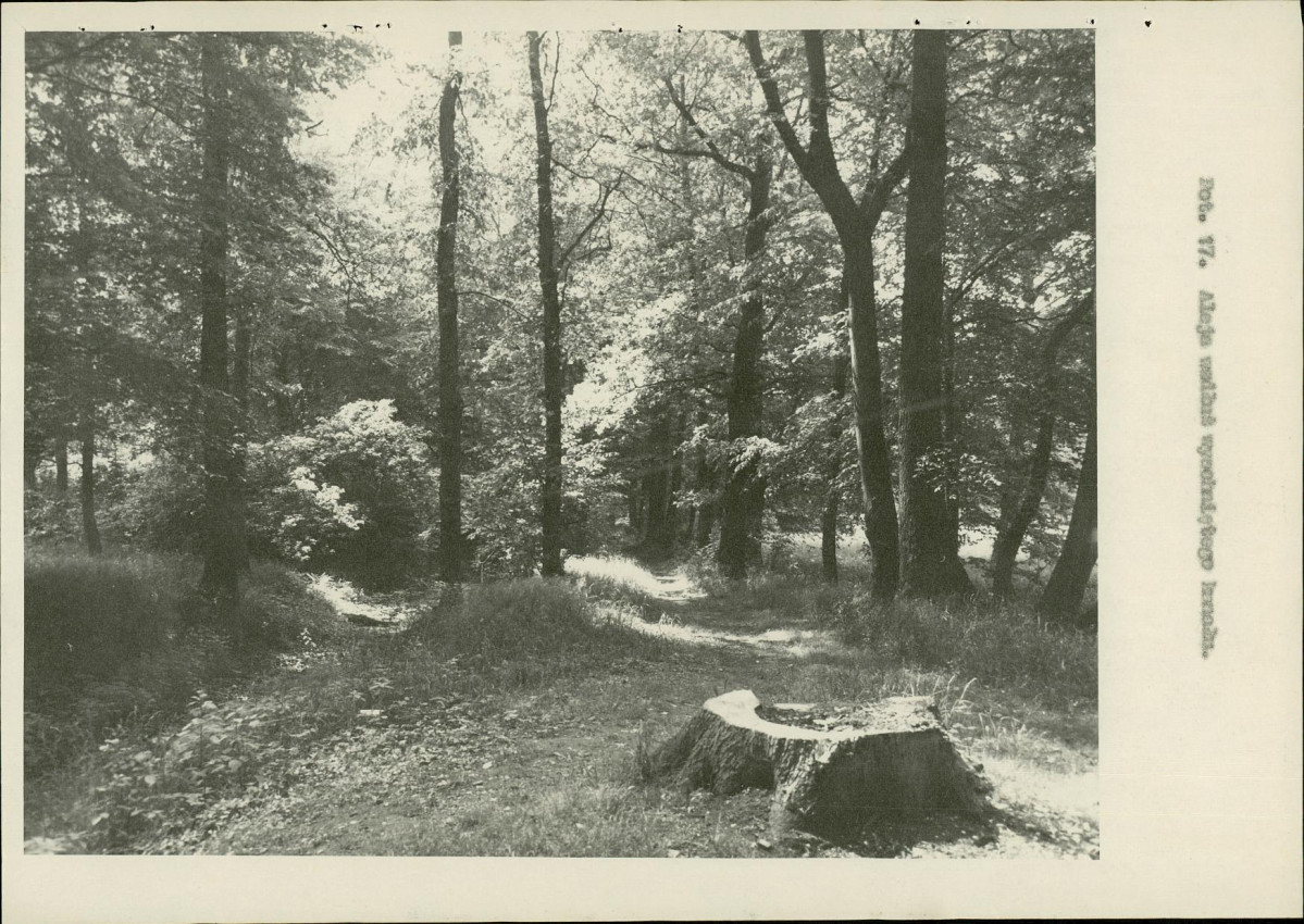 Ewidencja parkowa, skan nr 34