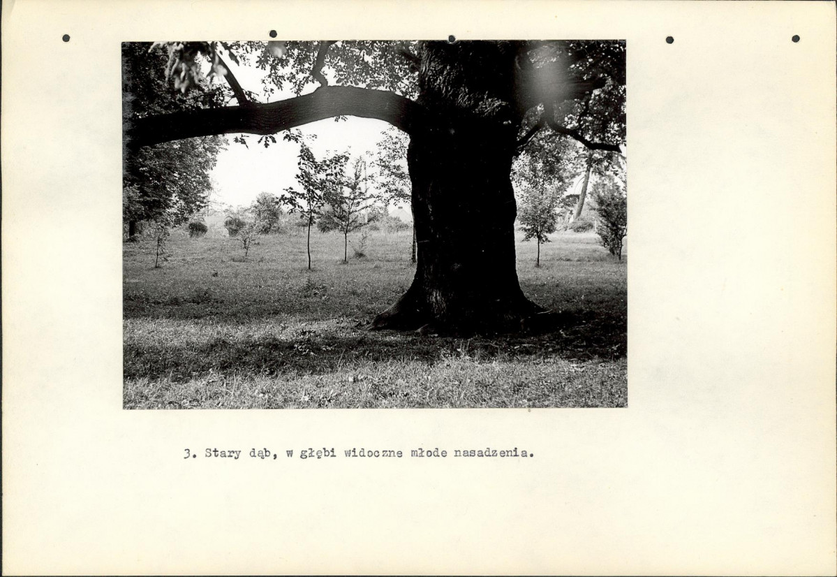 Ewidencja parkowa, skan nr 15