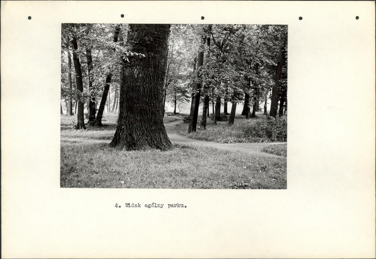 Ewidencja parkowa, skan nr 16