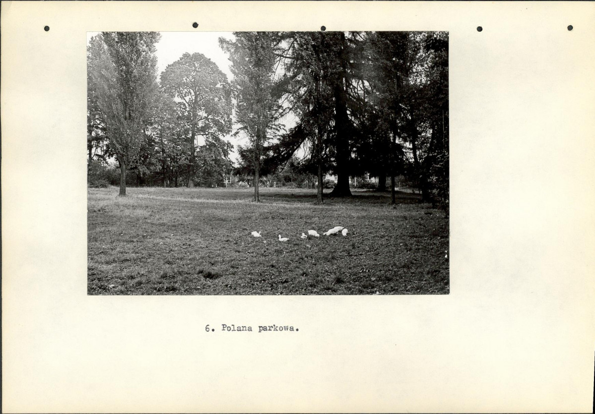 Ewidencja parkowa, skan nr 18