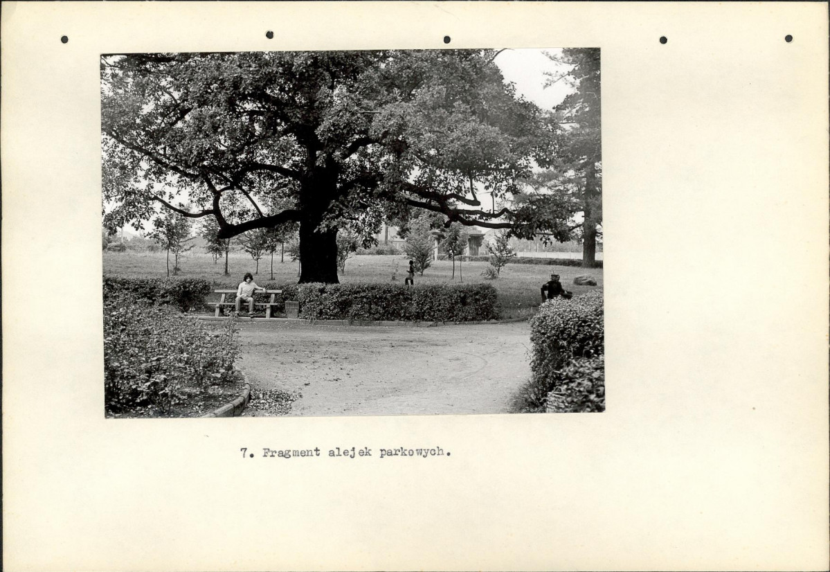 Ewidencja parkowa, skan nr 19