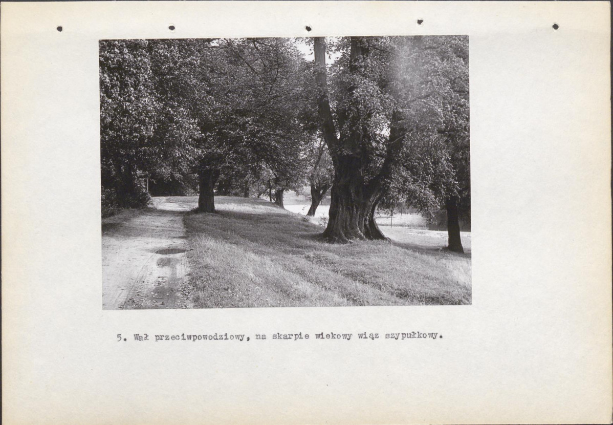 Ewidencja parkowa, skan nr 25