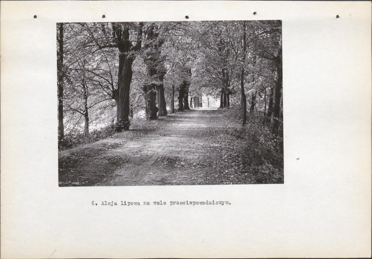 Ewidencja parkowa, skan nr 26