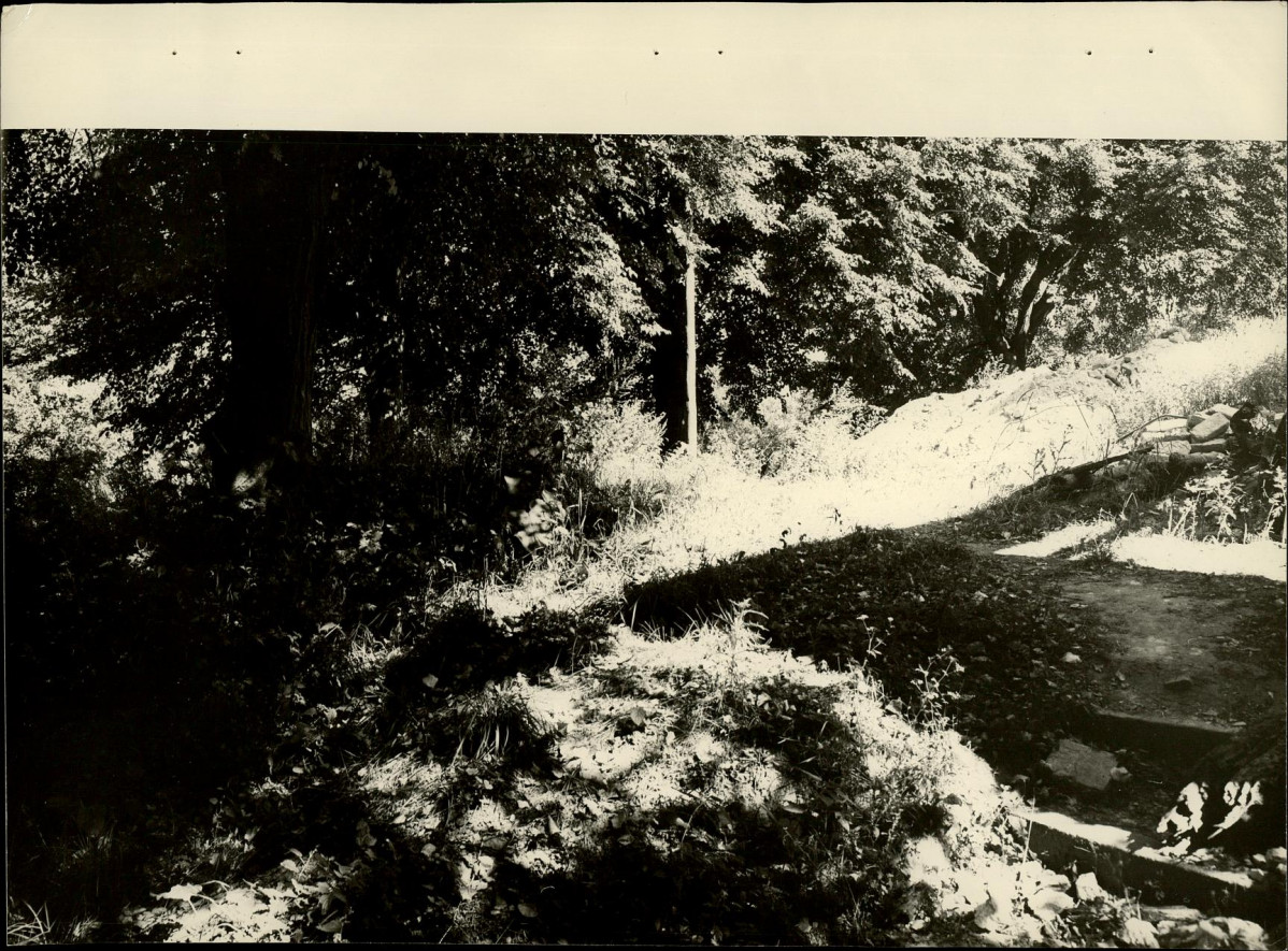 Ewidencja parkowa, skan nr 23