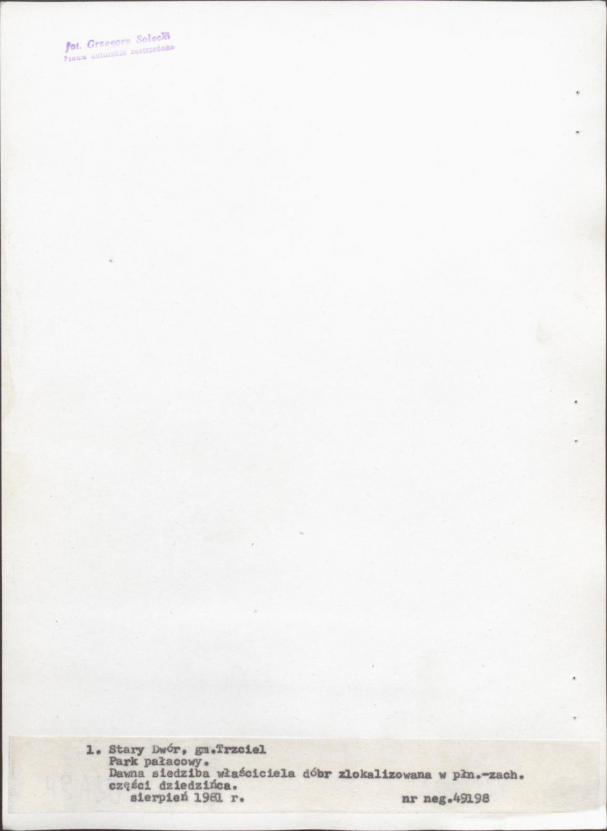 Ewidencja parkowa, skan nr 21