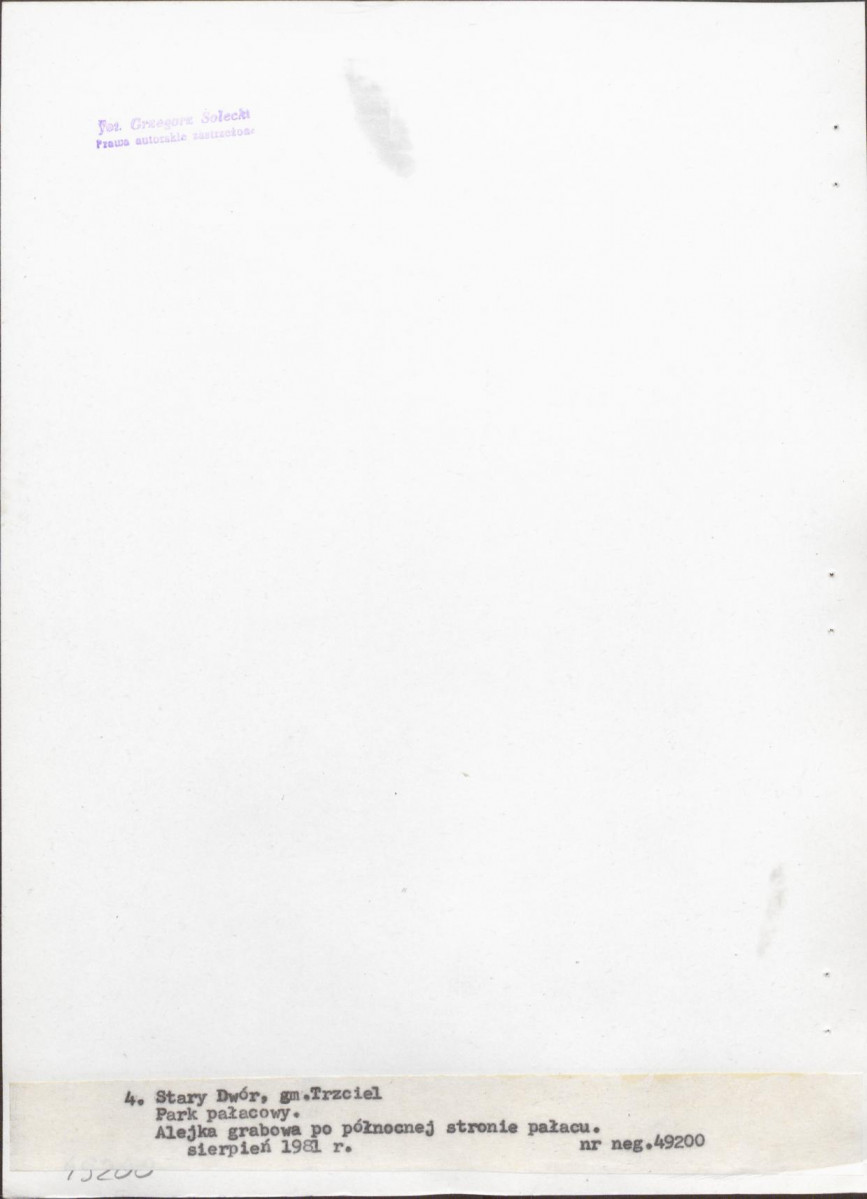 Ewidencja parkowa, skan nr 27