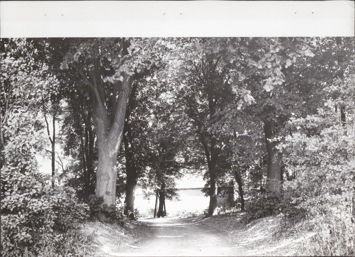 Ewidencja parkowa, skan nr 30