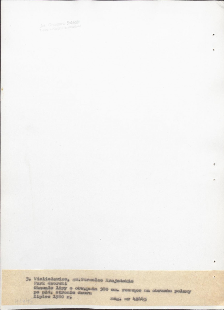 Ewidencja parkowa, skan nr 25