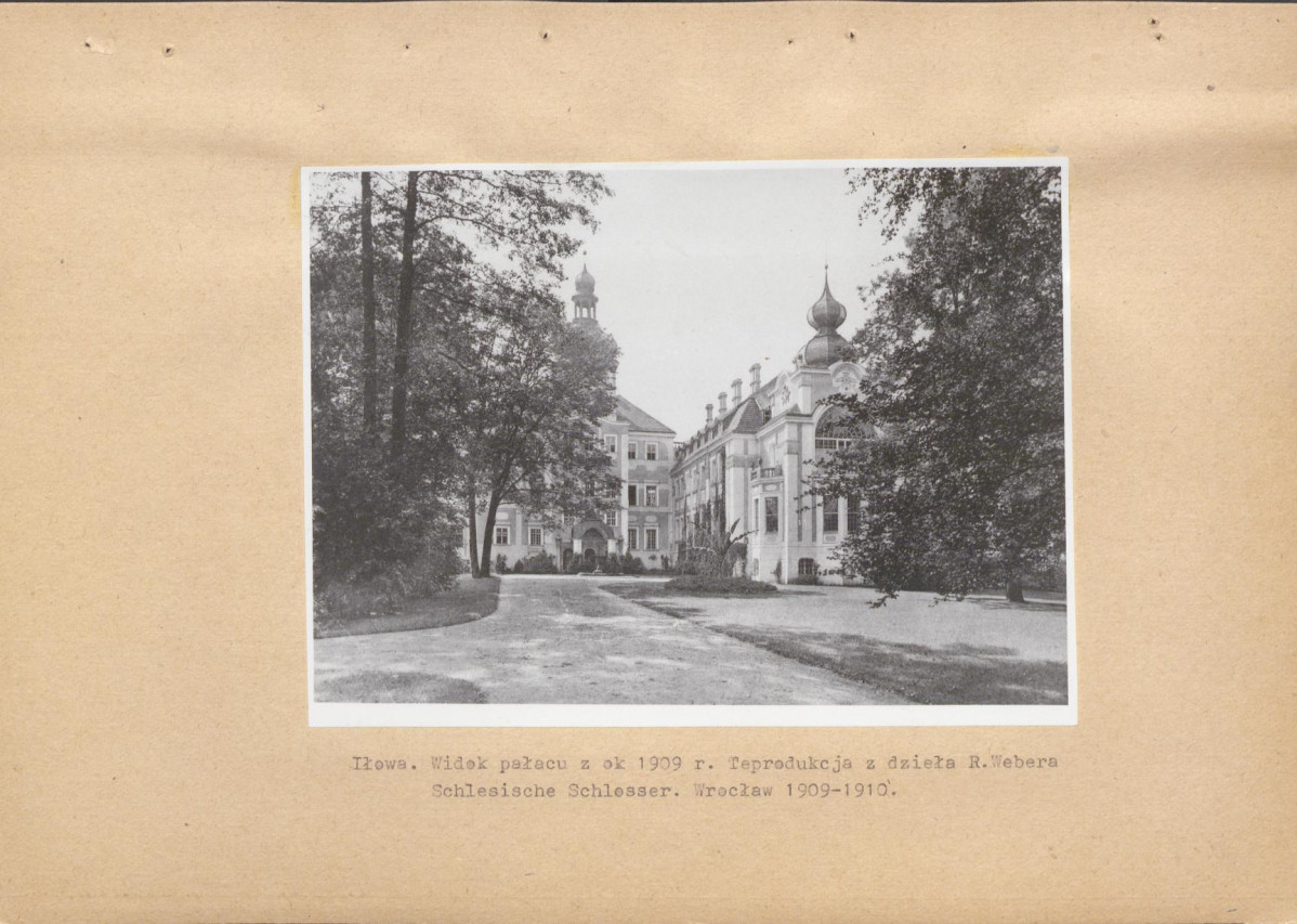 Ewidencja parkowa, skan nr 40