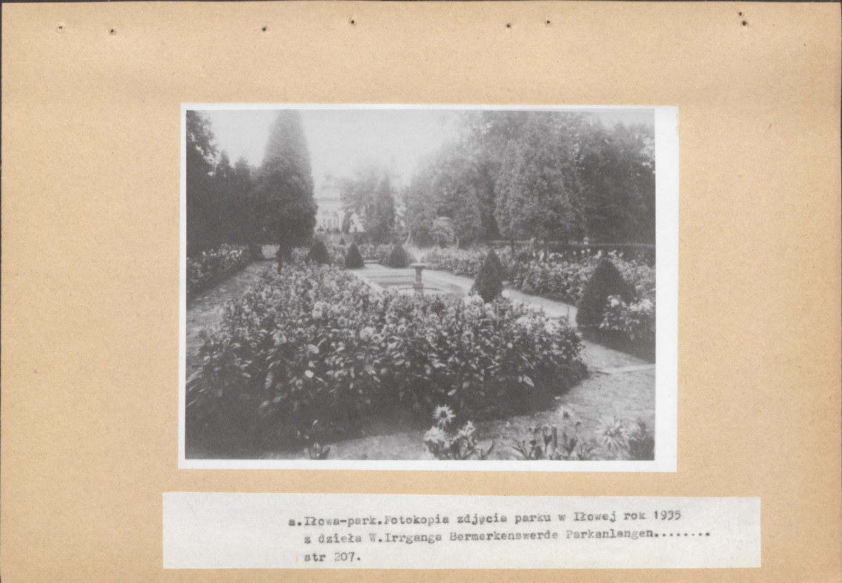 Ewidencja parkowa, skan nr 42