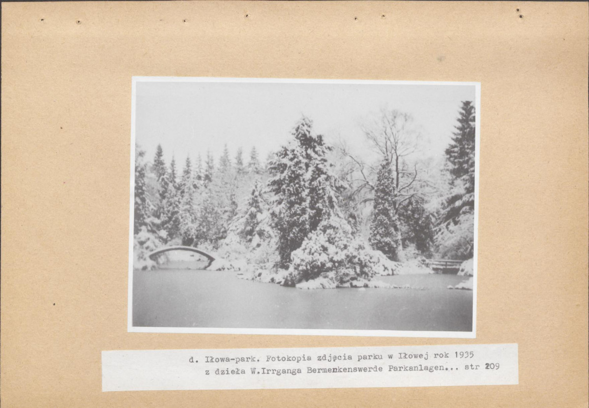Ewidencja parkowa, skan nr 45