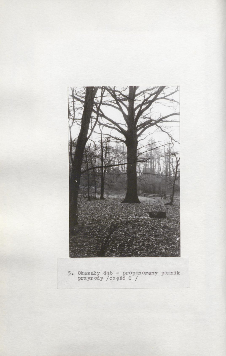 Ewidencja parkowa, skan nr 42