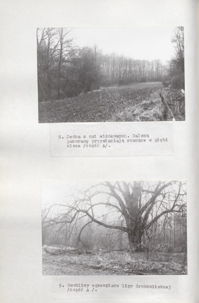 Ewidencja parkowa, skan nr 44