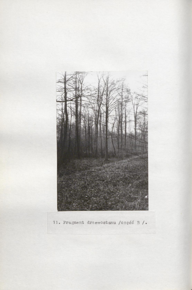 Ewidencja parkowa, skan nr 46