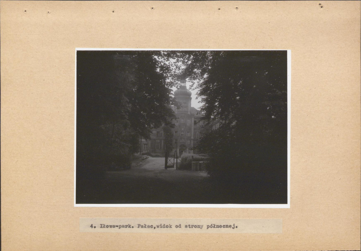 Ewidencja parkowa, skan nr 49