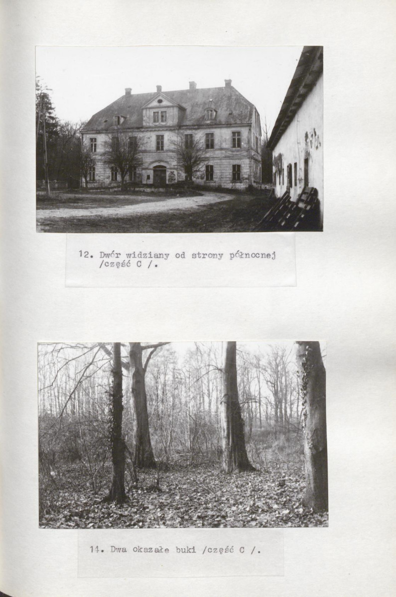 Ewidencja parkowa, skan nr 47