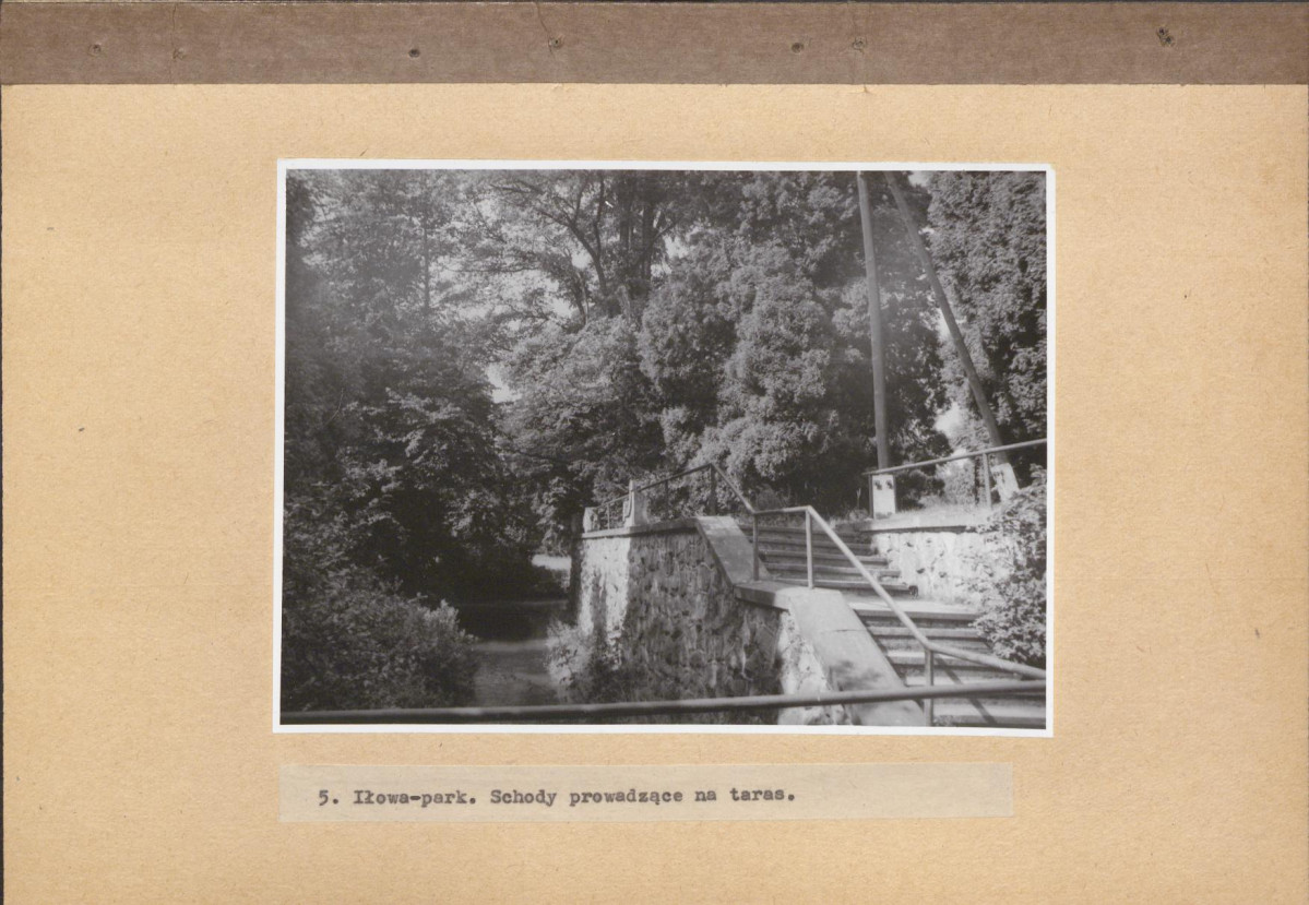 Ewidencja parkowa, skan nr 50