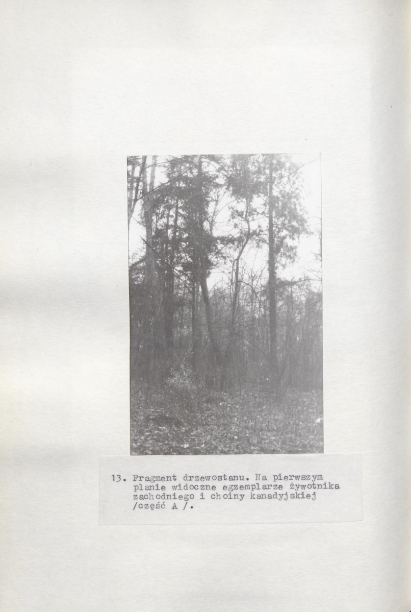 Ewidencja parkowa, skan nr 48