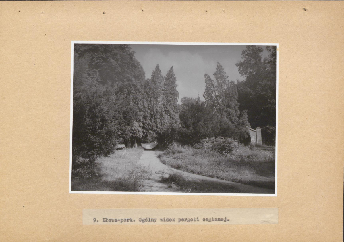 Ewidencja parkowa, skan nr 54