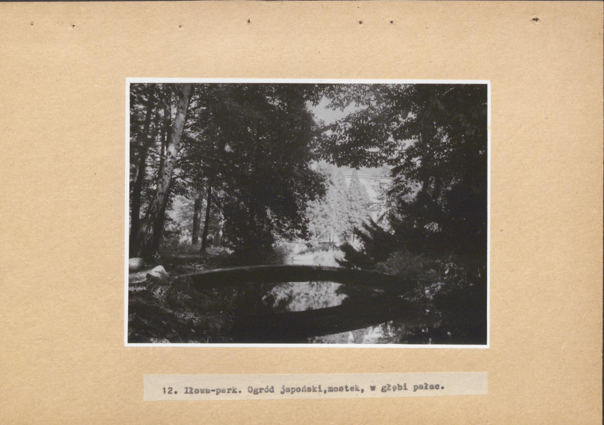 Ewidencja parkowa, skan nr 57