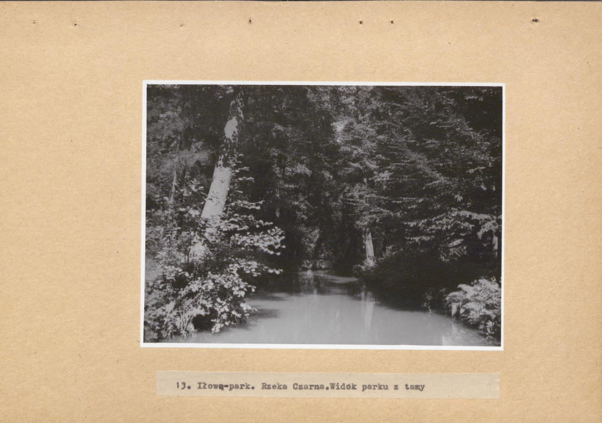 Ewidencja parkowa, skan nr 58
