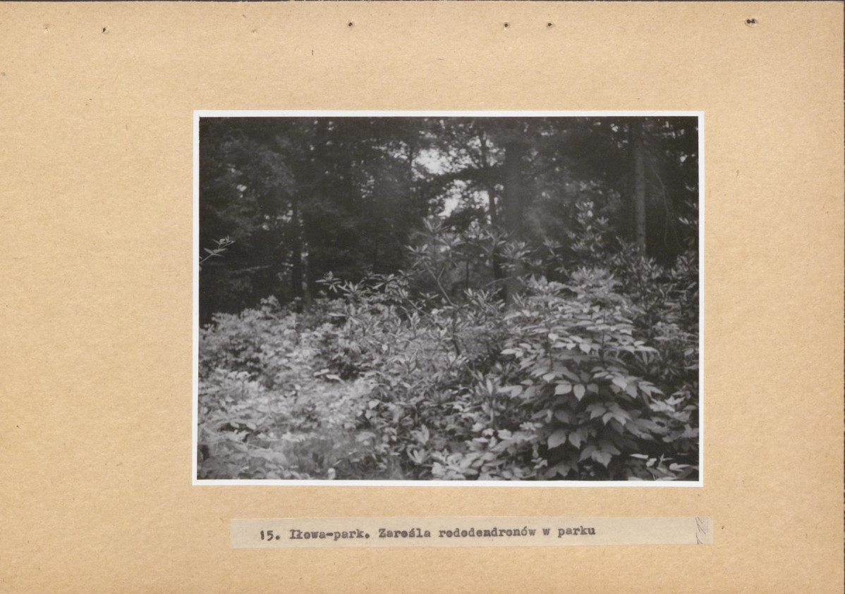 Ewidencja parkowa, skan nr 60
