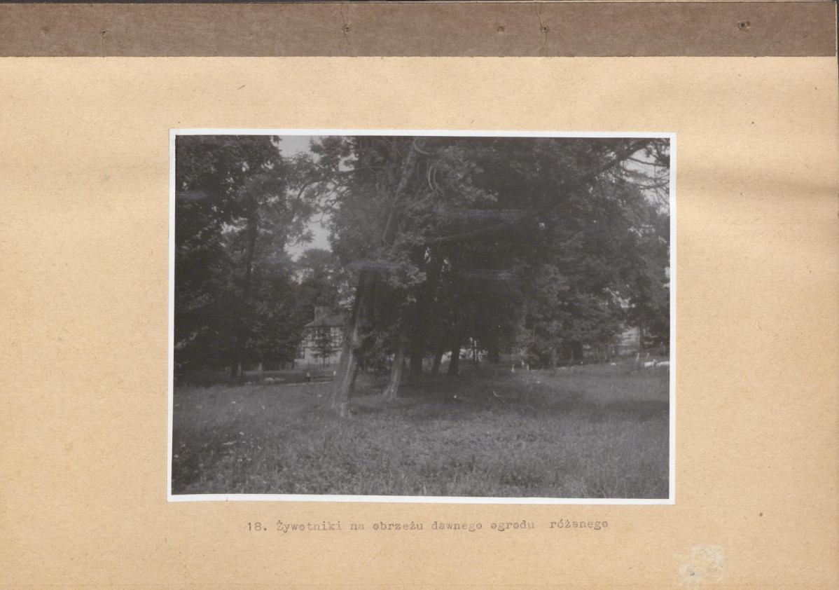 Ewidencja parkowa, skan nr 63