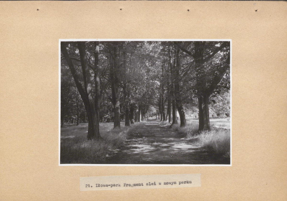 Ewidencja parkowa, skan nr 66
