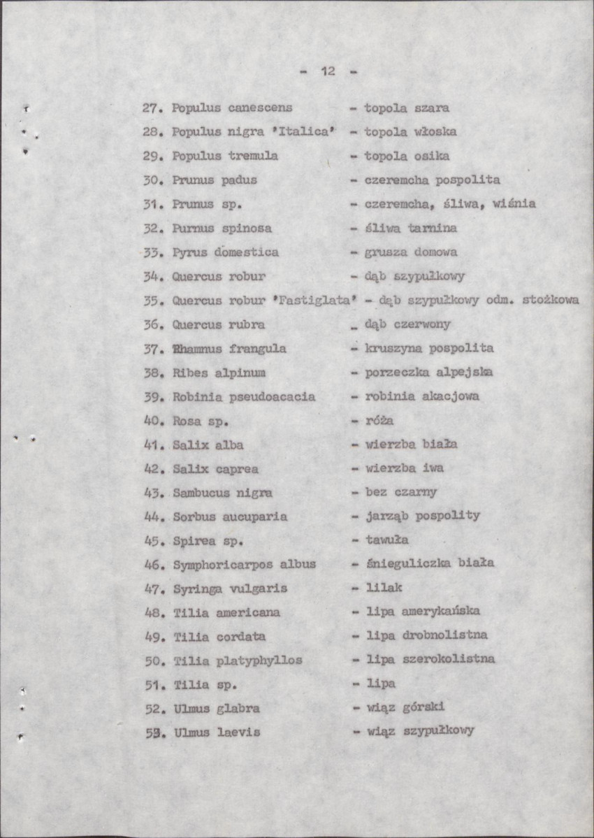 Ewidencja parkowa, skan nr 19