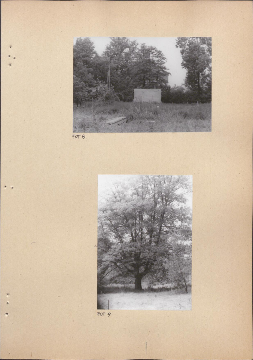 Ewidencja parkowa, skan nr 29