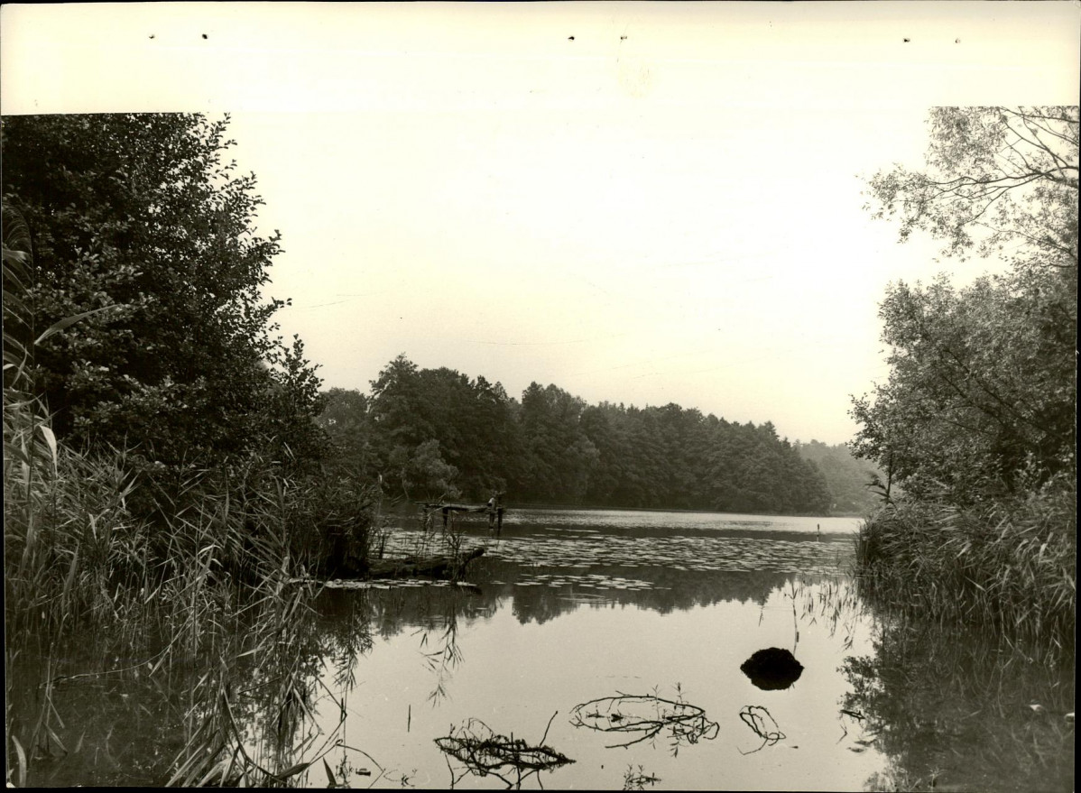 Ewidencja parkowa, skan nr 27