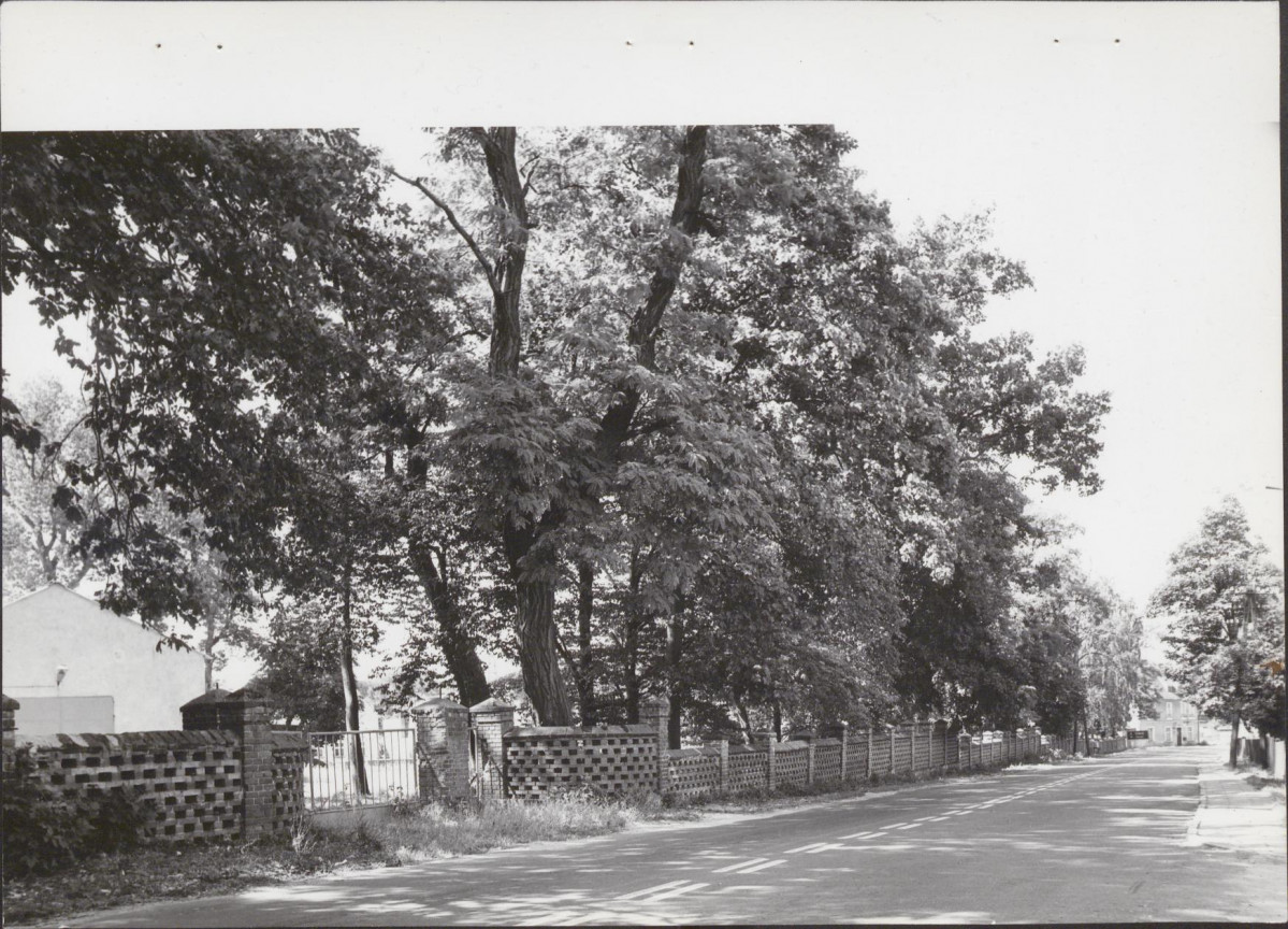 Ewidencja parkowa, skan nr 21