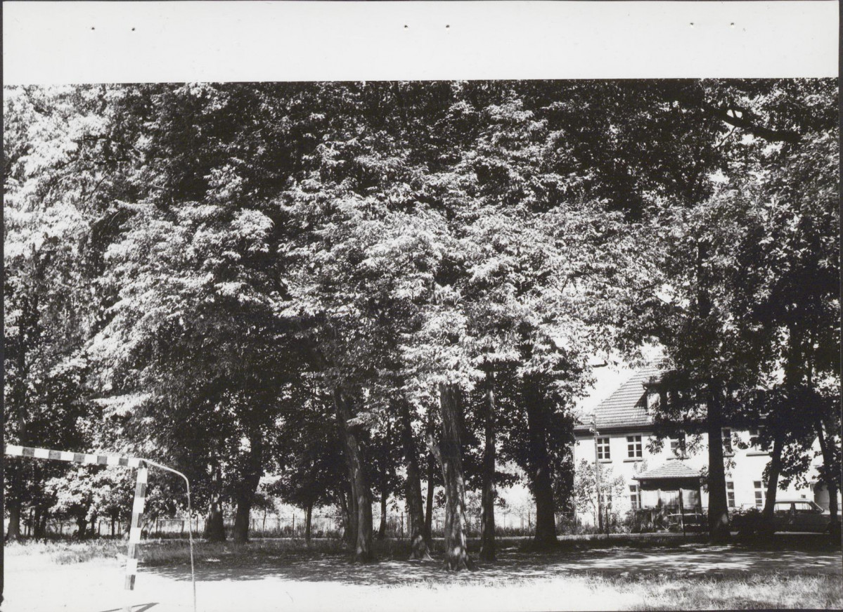 Ewidencja parkowa, skan nr 25