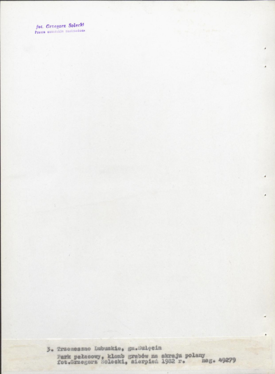 Ewidencja parkowa, skan nr 26