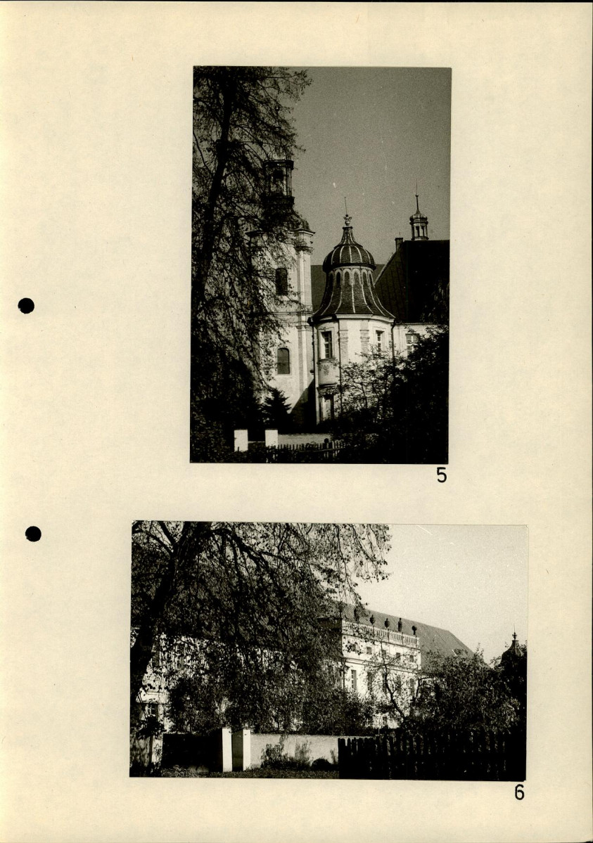 Ewidencja parkowa, skan nr 41