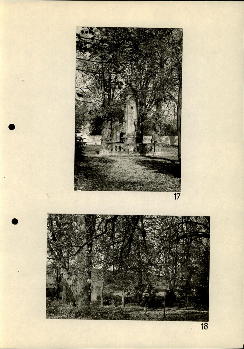 Ewidencja parkowa, skan nr 47