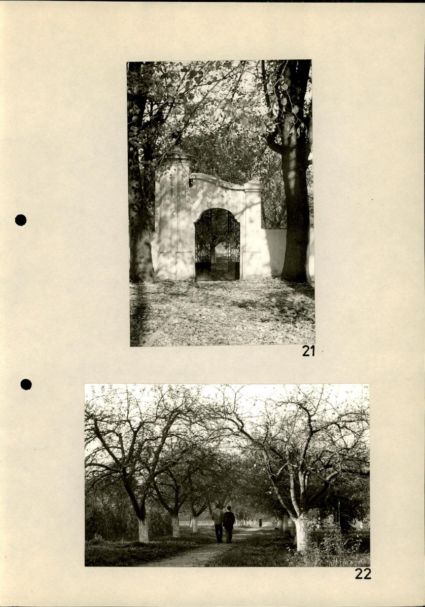 Ewidencja parkowa, skan nr 49