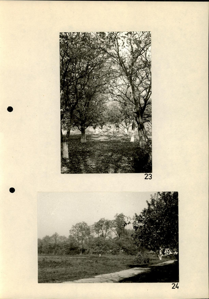 Ewidencja parkowa, skan nr 50