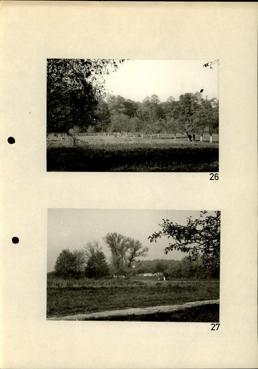 Ewidencja parkowa, skan nr 52