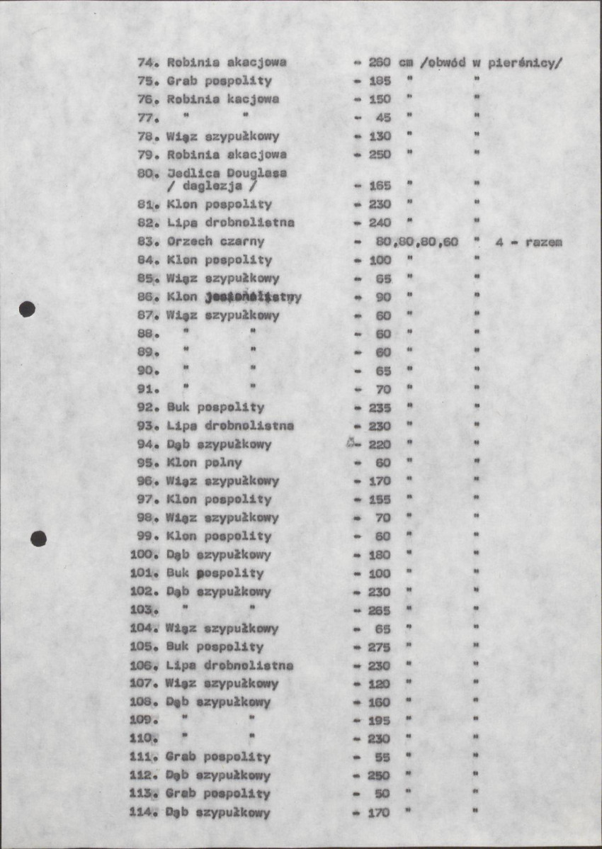 Ewidencja parkowa, skan nr 16