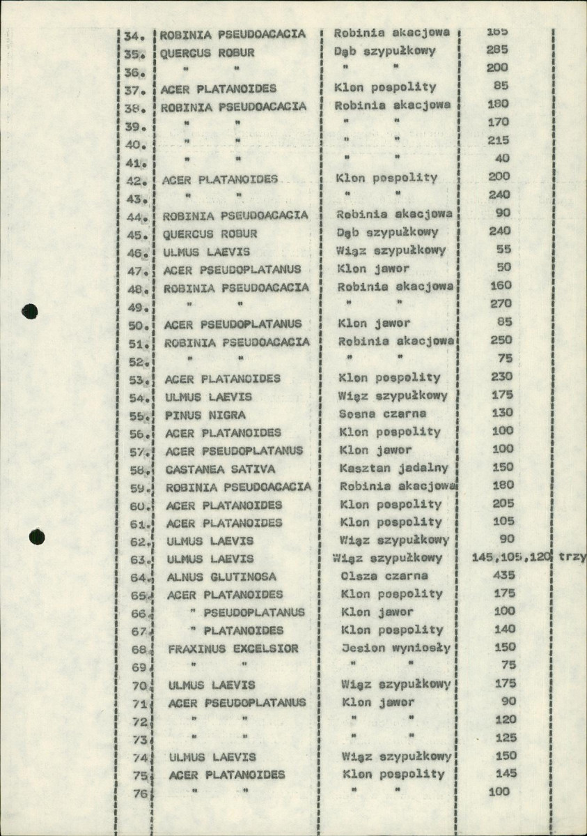 Ewidencja parkowa, skan nr 14
