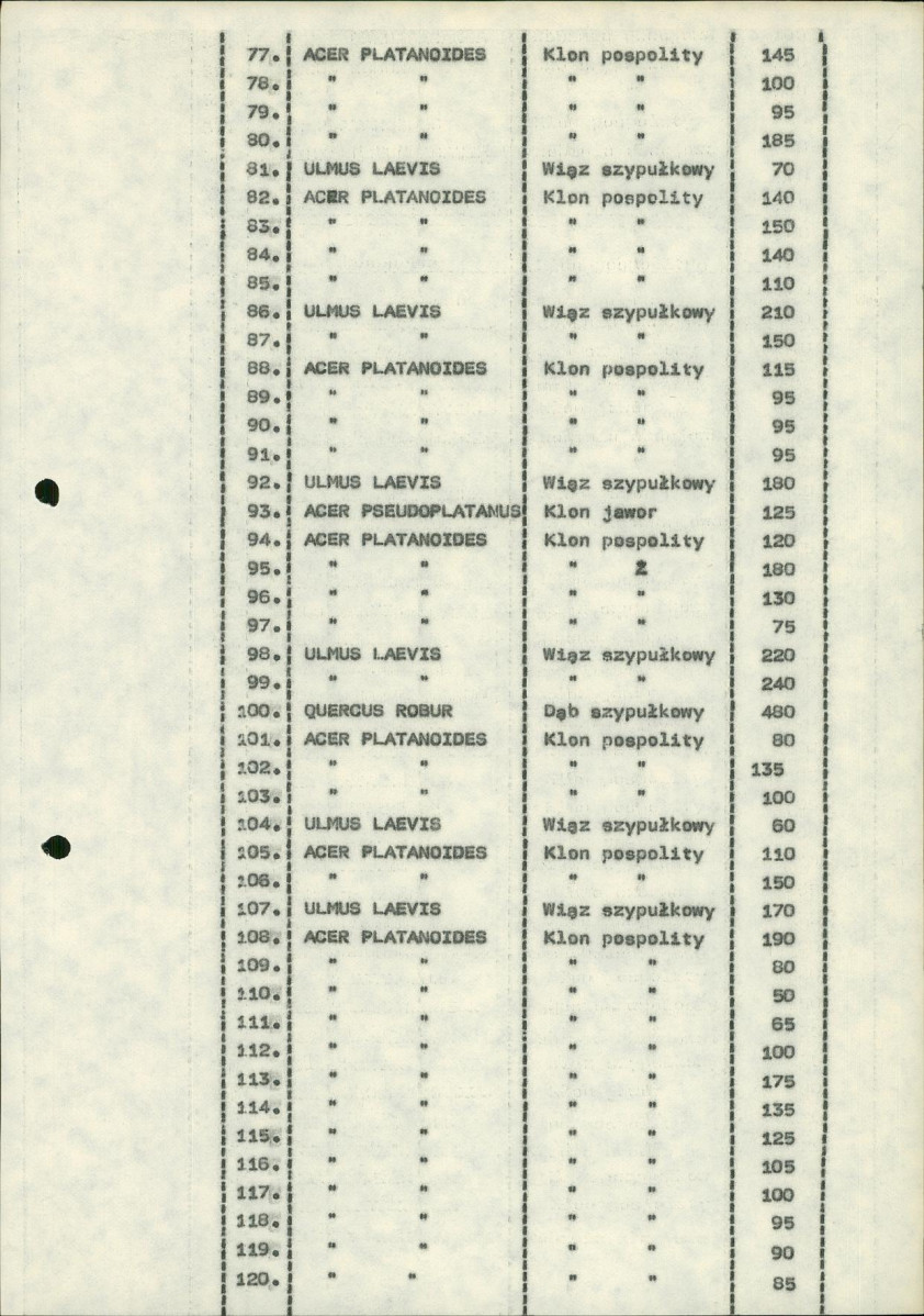 Ewidencja parkowa, skan nr 15