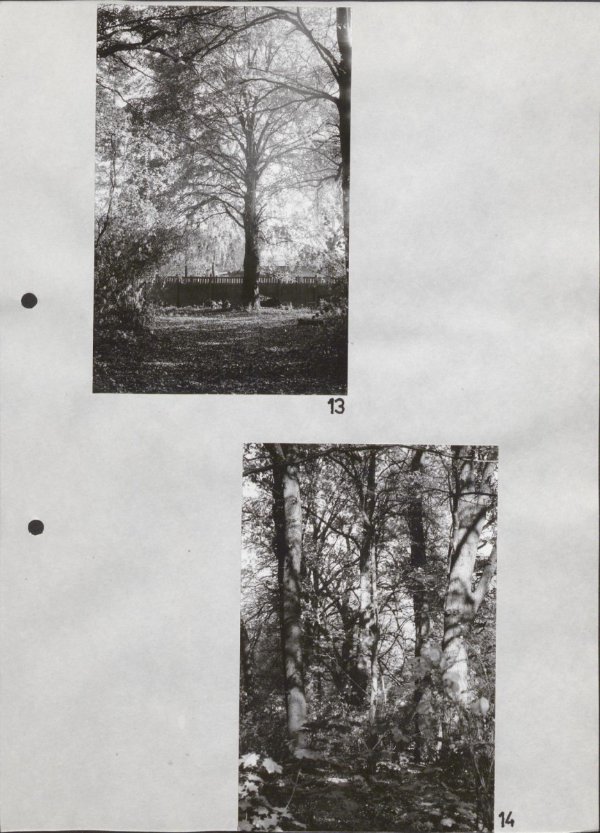 Ewidencja parkowa, skan nr 33