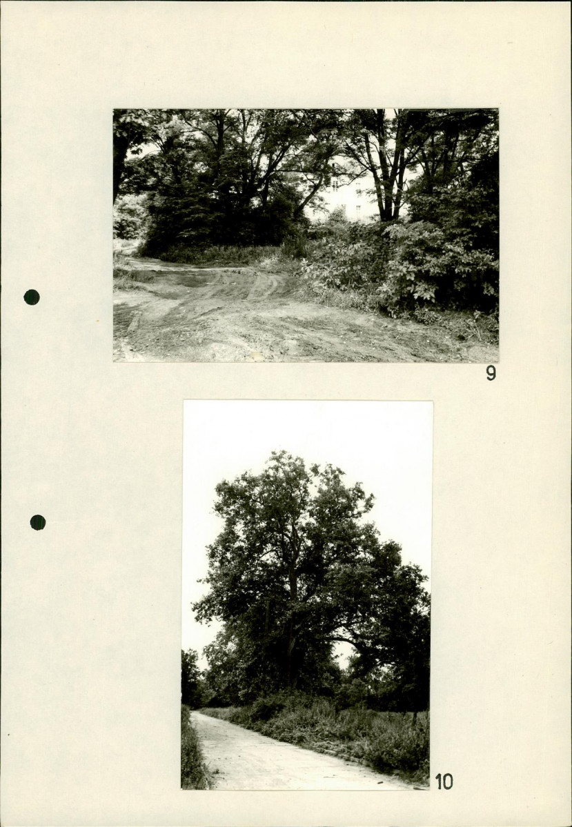 Ewidencja parkowa, skan nr 28
