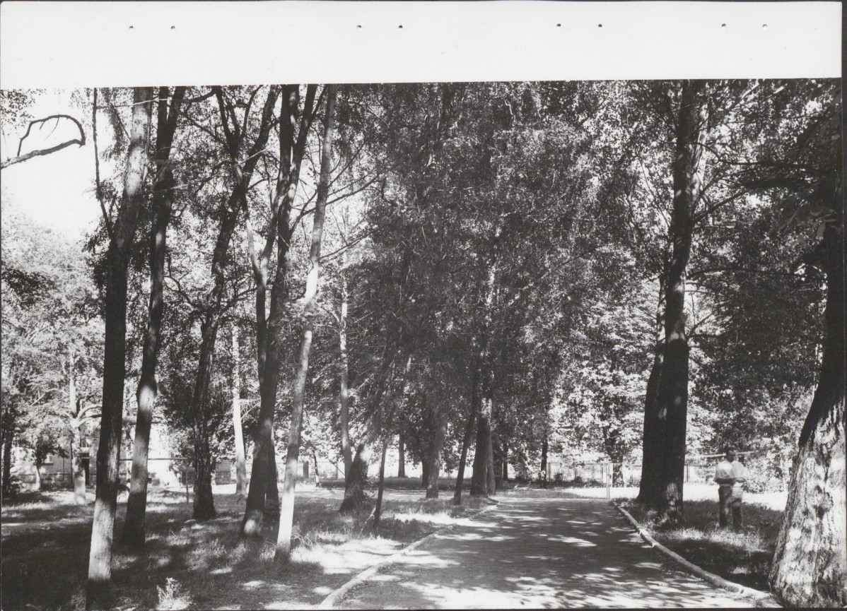 Ewidencja parkowa, skan nr 21