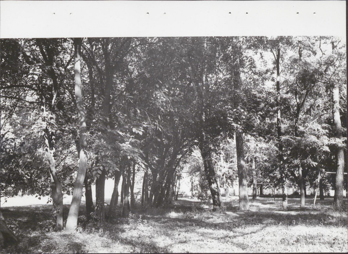 Ewidencja parkowa, skan nr 23
